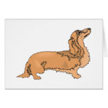 Long Haired Dachshund Greeting Card