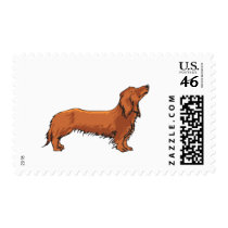Long Haired Dachshund Stamps