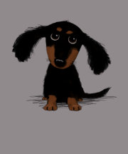 Long Haired Dachshund Puppy Tshirts
