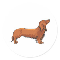 Long Haired Dachshund stickers by cutecanines Long Haired Dachshund stickers