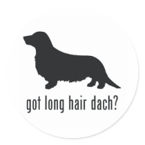 Long Haired Dachsund Round Stickers