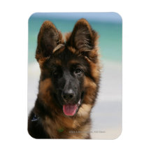 Long Haired German Shepherd Beach Magnet