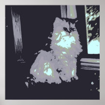 Long-haired Gray Kitty Cat Poster
