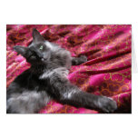 Long-haired Russian Blue mix greeting card