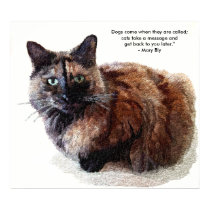 Long Haired Tortoise Shell Cat Prints and Posters
