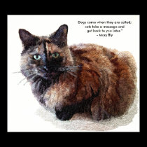 Long Haired Tortoise Shell Cat Prints and Posters