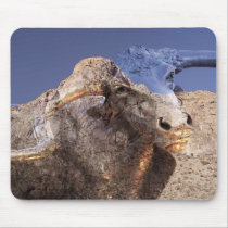 Long Horn Spirit #2 Mousepad