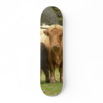Long Horned Cattle Female And Her Young skateboards