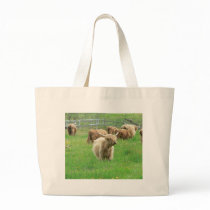 Long Horned Cattle On Field Eating Grass bags