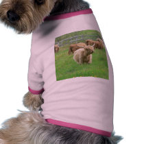 Long Horned Cattle On Field Eating Grass pet clothing by lifesphere Long Horned Cattle On Field Eating Grass pet clothing