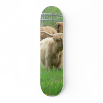 Long Horned Cattle On Field Eating Grass skateboards