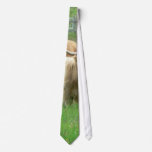 Long Horned Cattle On Field Eating Grass Necktie