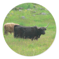 Long Horned Cattle stickers
