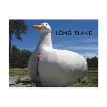 LONG ISLAND POST CARD