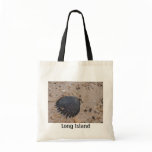 Long Island Scallop Shell Bag