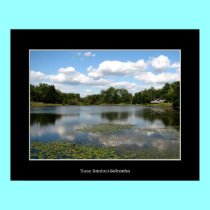 Long Lake: Reinstein Woods Nature Preserve posters by Artists4God Long Lake: Reinstein Woods Nature Preserve posters