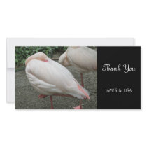 Long Legged Flamingo Picture Card