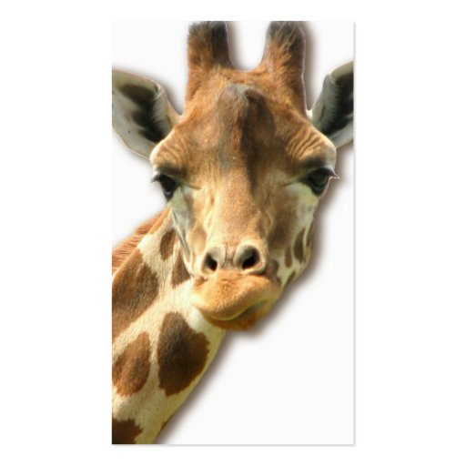 Long Necked Giraffe Business Cards (back side)