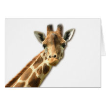 Long Necked Giraffe Greeting Card