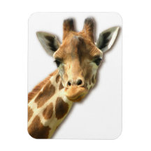 Long Necked Giraffe  Premium Magnet