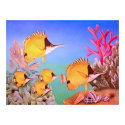 Long-nose Butterfly Fish posters by joeyartist Long-nose Butterfly Fish posters