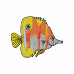 Long-nosed Angelfish Embroidered Jacket