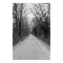 "Long Road Home" posters by wndy26 "Long Road Home" posters