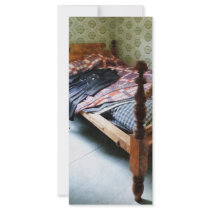 Long Sleeved Dress on Bed Rack Card Design