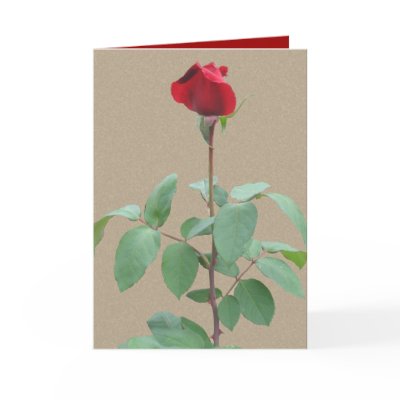 Long stem red rose cards by Annaart