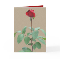 Long stem red rose cards by Annaart Long stem red rose cards