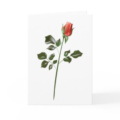  Long stem Red Rose Greeting Cards by White_Wedding