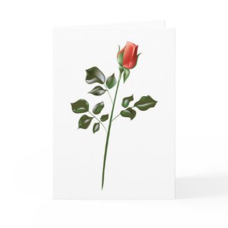 Long stem Red Rose card