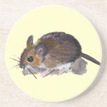 Long Tailed Field Mouse Coasters