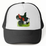 Long-tailed Rooster Trio hats