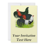 Long-tailed Rooster Trio Custom Invite