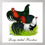 Long-tailed Rooster Trio posters