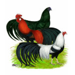 Long-tailed Rooster Trio t-shirts