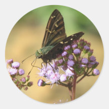 Long-tailed Skipper Sticker