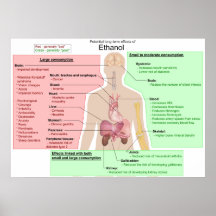 Long Term Effects of Ethanol Indigestion Chart Print