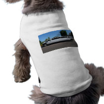 long vehicle dog clothing