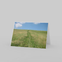 Long Walk Home Greeting Card cards