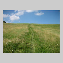 Long Walk Home posters