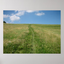 Long Walk Home Poster