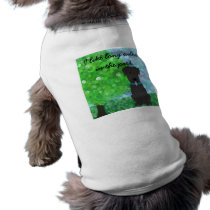 long walks in the park -Black Lab pet clothing
