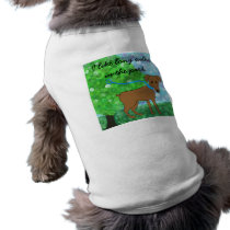 long walks in the park pet clothing