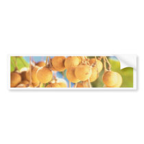 Longan fruits bumper stickers