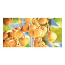 Longan fruits photo cards