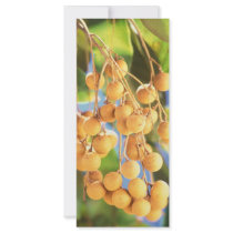 Longan fruits rack cards
