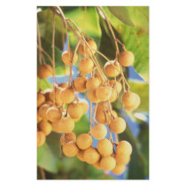 Longan fruits stationery