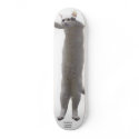 longcat skateboards